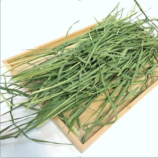 烘干小麦草毛重1000克苗兔子龙猫荷兰猪牧草小麦苗干草尝鲜