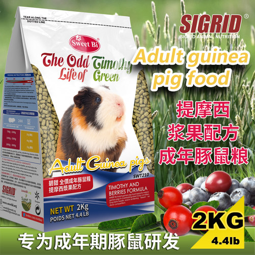 SWEETBI碧甜提摩西浆果豚鼠粮2kg