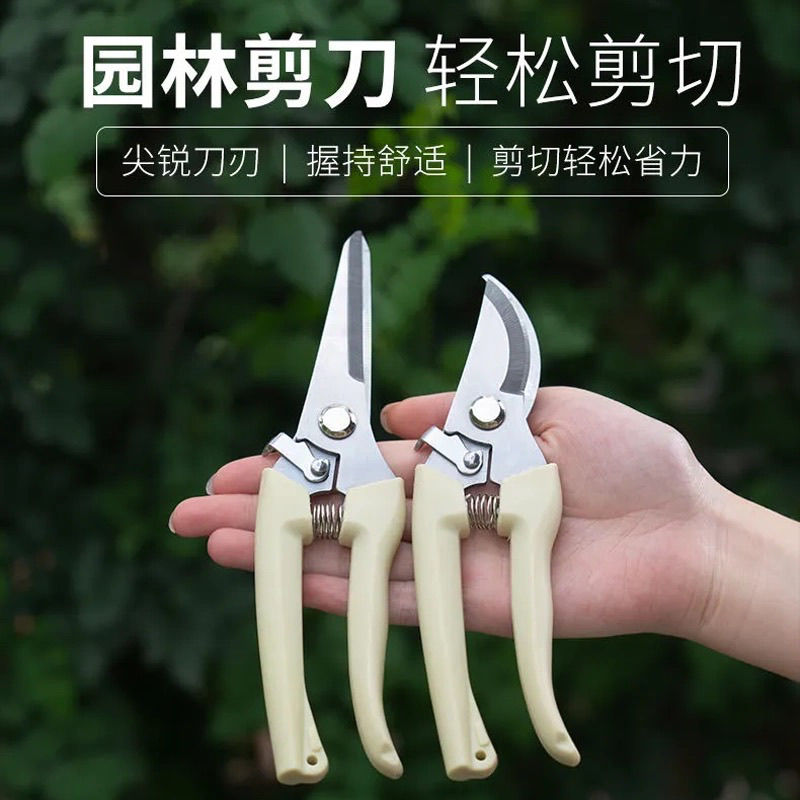 花艺剪子修枝剪弹簧手动摘果剪修花农用剪树枝专用剪子园艺剪刀枝图片