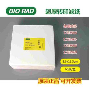 WB转印滤纸 WesternBlot加厚转印滤纸 美国伯乐Bio rad转印滤纸