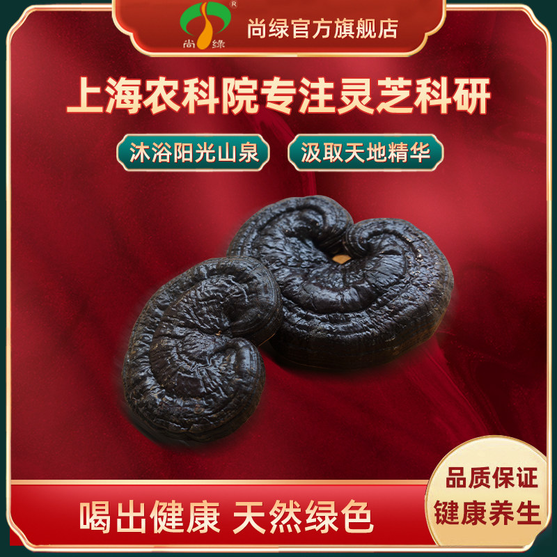 上海农科院尚绿灵芝500g紫灵芝整枝干货正品泡酒养生茶煲汤