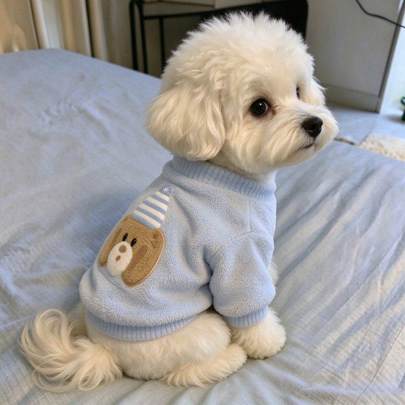 秋冬新款中小型犬猫咪加绒衣服比熊泰迪可爱保暖防掉毛服饰