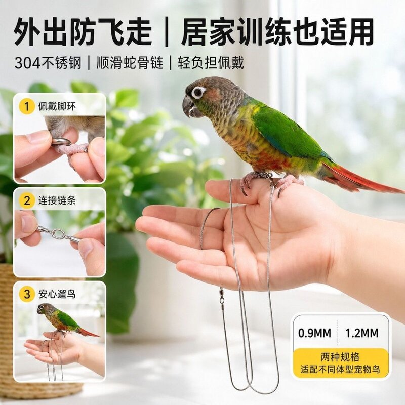 牡丹玄凤小太阳遛鸟脚环链条合金蛇骨绳鹦鹉放飞栓鸟专用脚链