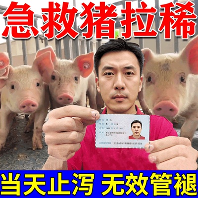 猪拉稀特效药兽用治疗腹泻黄白痢拉肚子小猪仔拉稀用什么药泻立停