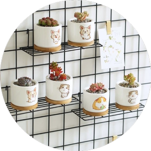 挂篮铁艺阳台植物花篮花架侵塑网片收纳篮照片墙装饰置物蓝挂篮