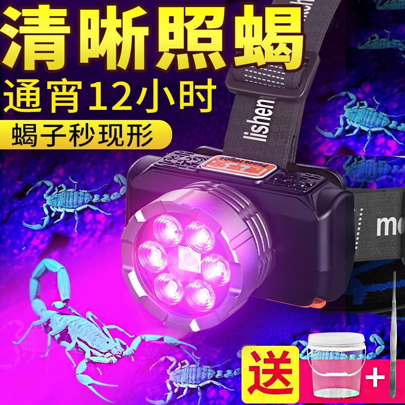 照蝎子专用灯强光头戴式手电筒可充电两用大功率超亮紫光超长续航