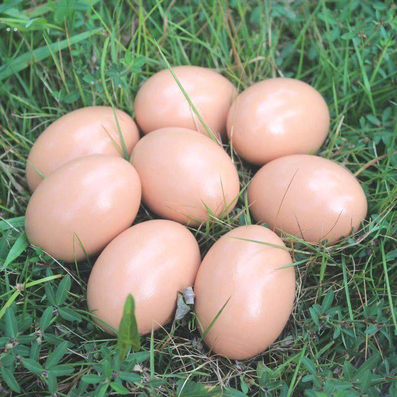 整蛊仿真实心假鸡蛋引蛋幼儿园道具儿童过手工绘画彩蛋,玩具/童车/益智/积木/模型,儿童食玩,淘宝优惠券,粉丝福利购,淘宝优惠卷