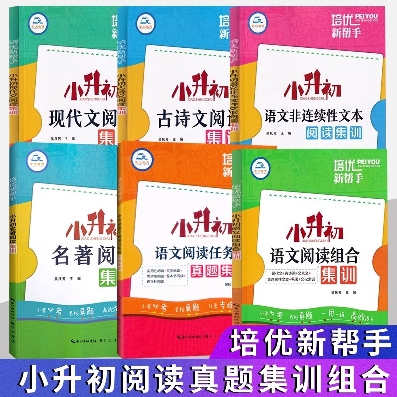 小升初现代文语文阅读组合集训古诗文名著非连续性文本阅读培优新帮手小升初语文阅读总复习文言文名著阅读任务群阅读真题高效训练