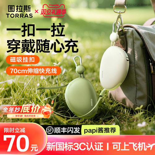 【papi酱推荐】鹅卵石便携闪充