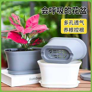 家用花盆种植盆办公室红掌种植盆栽塑料花盆长方形透气多肉小花盆