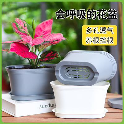 塑料小花盆长方形透气多肉花盆