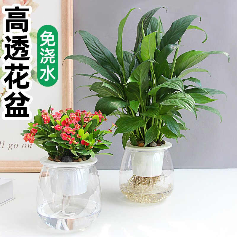 桌面高透水培花盆塑料花盆自吸水
