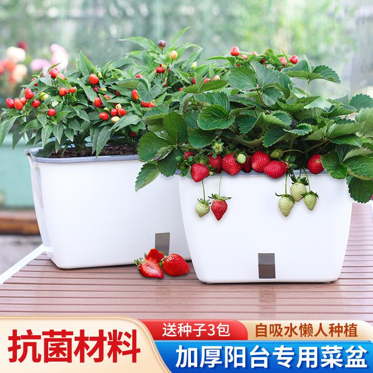 家用阳台专用种菜盆种植箱塑料花盆自吸水户外窗台草莓专用盆盆栽,鲜花速递/花卉仿真/绿植园艺,花盆,淘宝优惠券,粉丝福利购,淘宝优惠卷