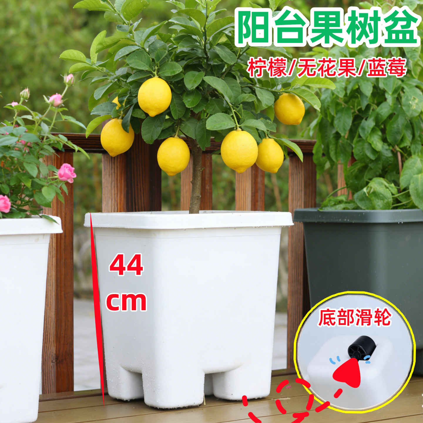 全新PP原料种树盆加深果树盆花箱