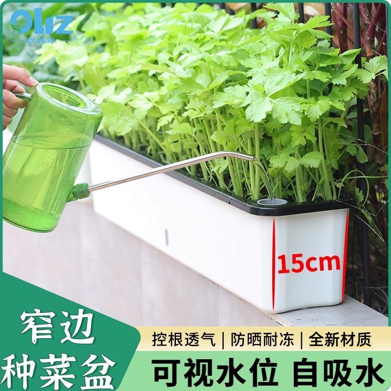 加长阳台种菜盆种植箱室内窗沿专用花盆超窄边长方形花槽懒人神器,鲜花速递/花卉仿真/绿植园艺,花盆,淘宝优惠券,粉丝福利购,淘宝优惠卷