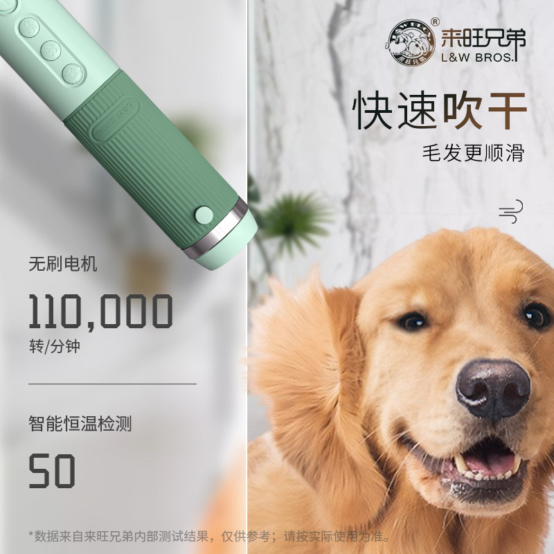 宠物吹水机猫咪10分棒来