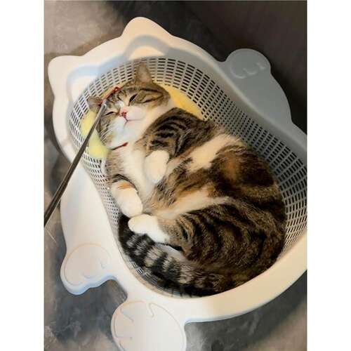 菜篮子猫窝夏季透气凉爽降温猫床加厚PP舒适耐抓垫子可水洗宠物窝