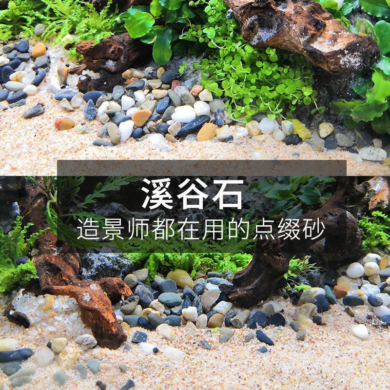 鱼缸天然溪流沙化妆沙原生石子河流石大矶沙草缸造景沙鱼缸装饰沙