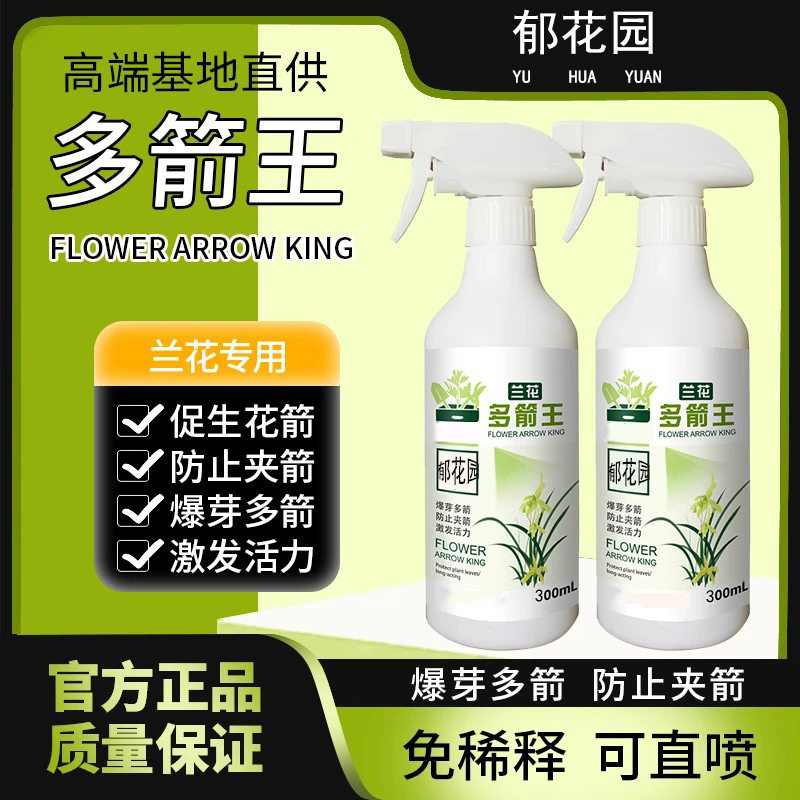 兰花多箭王花卉绿植果蔬通用家庭图片