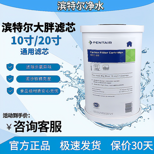 滨特尔10寸大胖pprfc复合活性炭