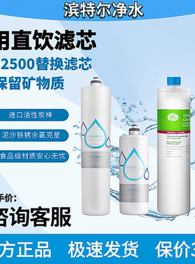 美国GE通用净水器 滨特尔牌主滤芯ATS2500S/5000S VOC3000S/6000S