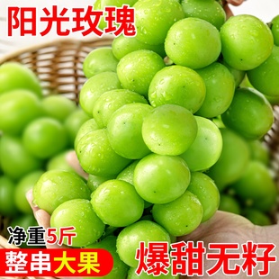 江苏阳光玫瑰葡萄新鲜晴王水果特级无籽香印青提整箱当季京东包邮