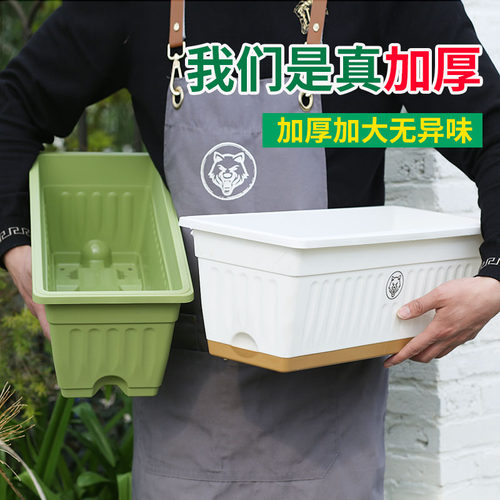 【加深加厚】无异味长方形种菜盆