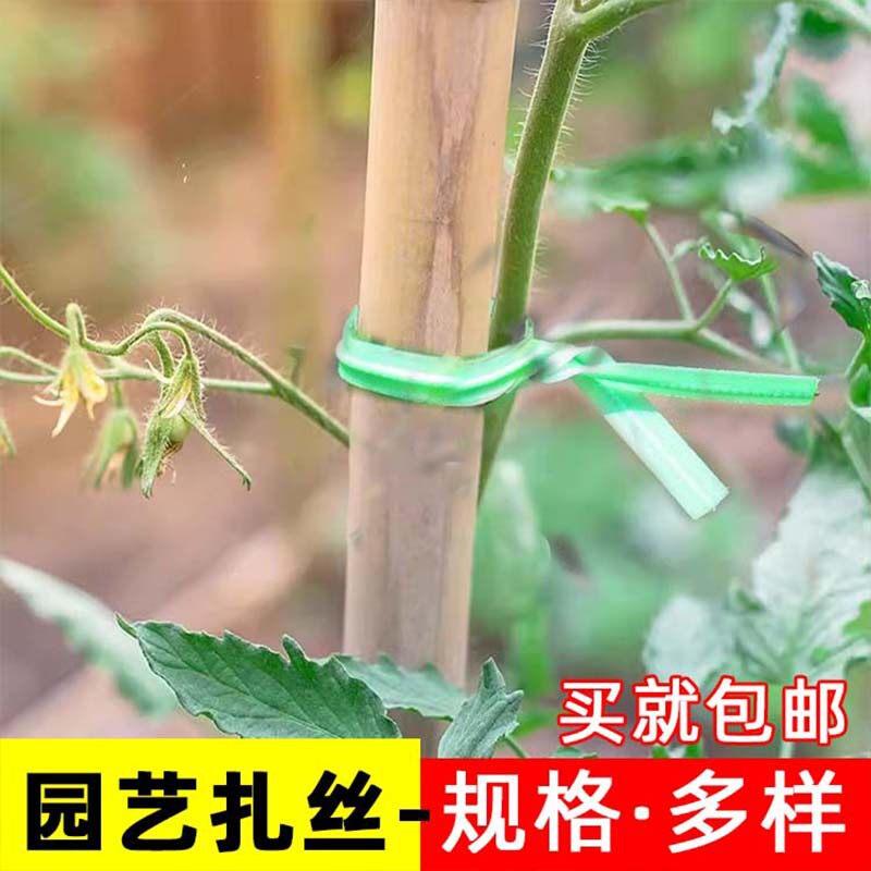 绑枝扎线铁丝植物固定扎带