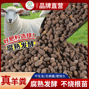 羊粪发酵有机肥种菜养花通用腐熟羊屎蛋羊粪肥种菜养花通用有机肥