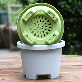 矮胖花盆大口径透气高脚控根盆塑料树脂盆矮款 加仑盆风信子绿萝盆