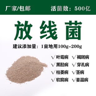500亿放线菌高含量细黄链霉菌生物肥料发酵菌剂厂家散装100g包邮
