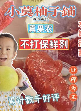 小莫柚子铺果农现摘清甜多汁水孕妇红心正宗福建平和琯溪蜜柚新鲜