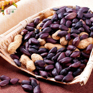 黑花生种子 早熟高产耐重茬黑皮花生 庭院阳台播种盆栽蔬菜种子