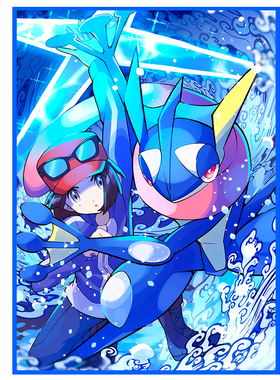 宝可梦卡套PTCG甲贺忍蛙闪光牌套竞技桌游卡牌保护套66x91 100张