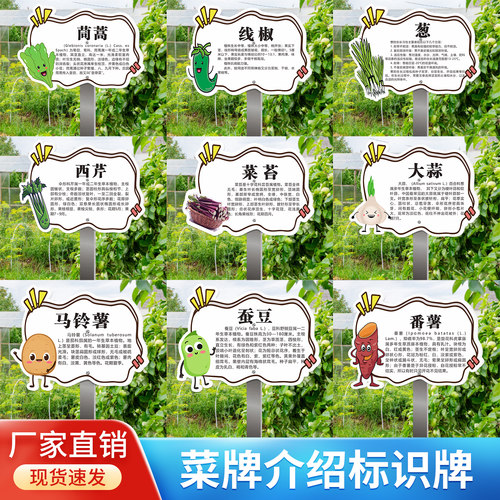 蔬菜介绍私家菜园不锈钢杆