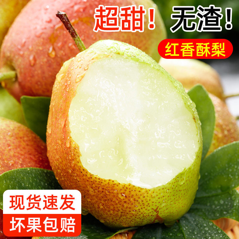 新鲜酥梨红香酥梨应季水果