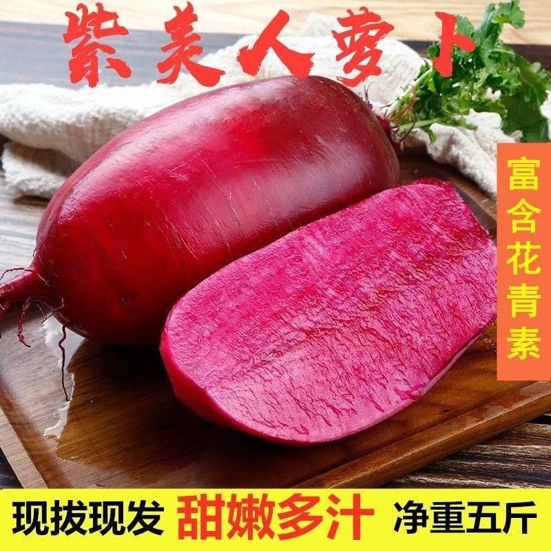 现挖新鲜紫美人萝卜胭脂萝卜红皮红肉萝卜泡菜萝卜红心萝卜