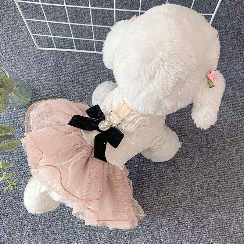 狗狗宠物衣服宠物猫猫咪泰迪博美小型可爱公主比熊小狗裙子牵引
