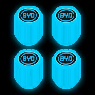 比亚迪汉Ev海鸥元plus海豚海豹宋L秦plusdmi轮胎气嘴帽发光夜光套