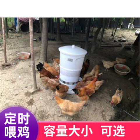 投放幼雏鸽鸽实用智能饮水罐鸡鸭B自动定时喂食器食盆下料机喂料