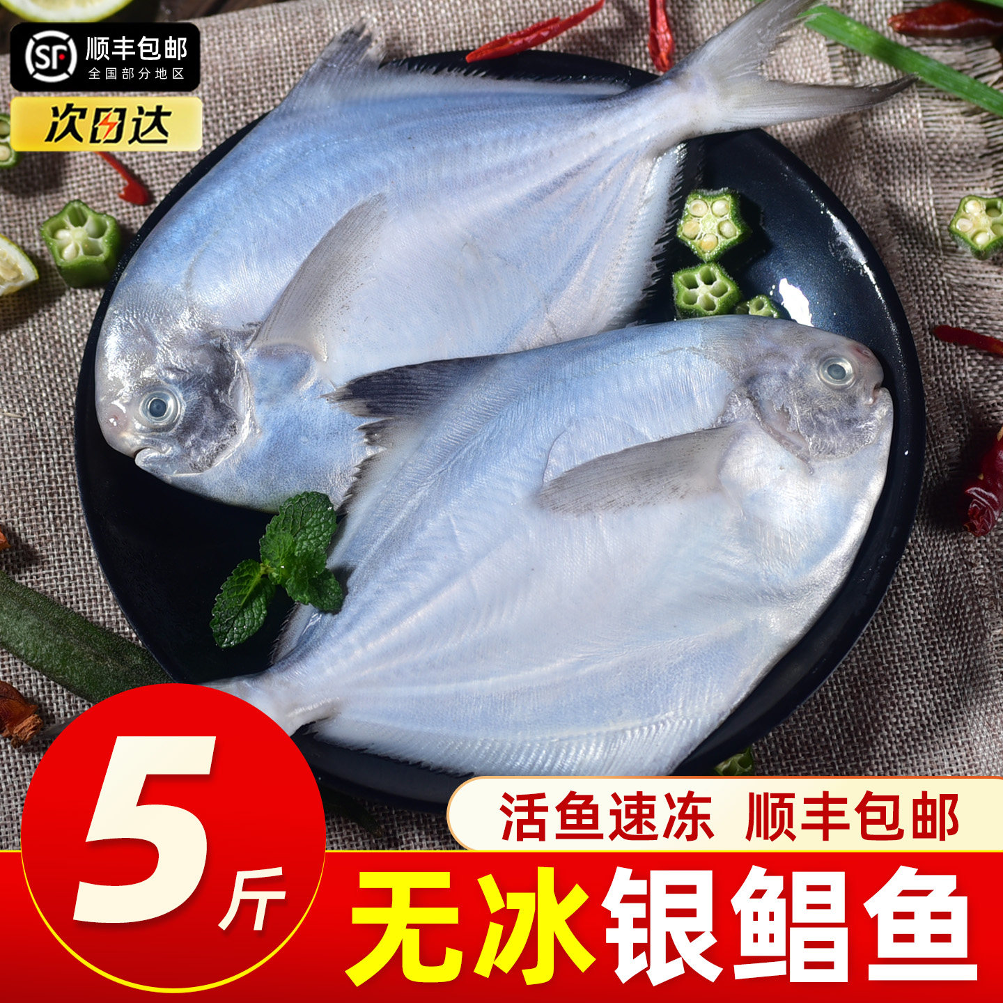 银鲳鱼鲜活冷冻新鲜海捕平鱼鲳鳊鱼白鲳鱼大昌鱼非金鲳鱼海鲜水产