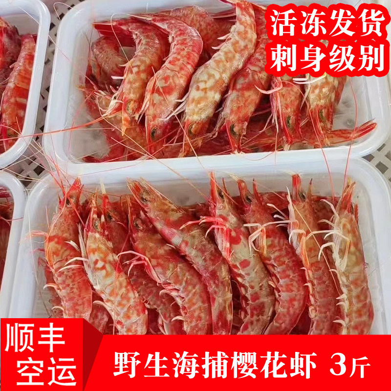 新鲜海捕野生樱花虾鲜活玫瑰虾活冻刺身虾赤米虾福建海鲜海虾水产