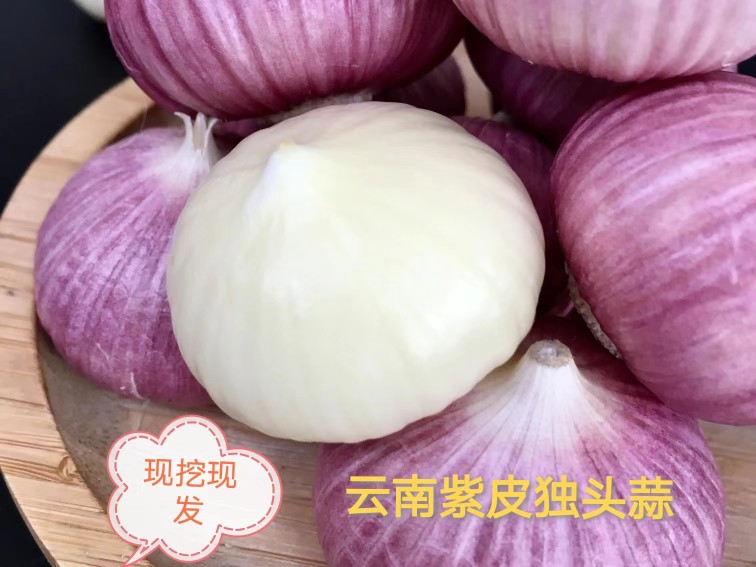 云南紫皮独头蒜农家蔬菜独蒜大蒜大蒜