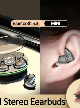 TWS Bluetooth 5.3 Wireless Earphone Invisible Sleep Headphon