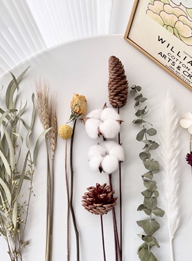 干花花束尤加利松果玫瑰芦苇真花风干天然diy材料客厅装饰摆件
