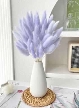 兔尾草永生花干花花束ins真花装饰摆件风干天然狗尾巴草客厅摆设