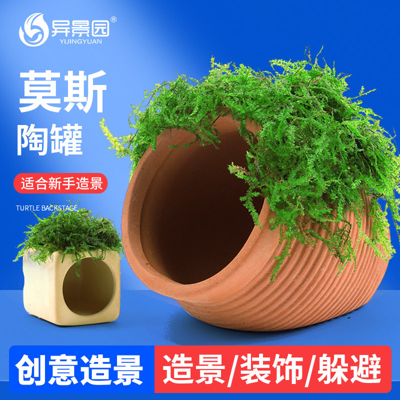 鱼缸莫斯水草鱼虾躲避罐