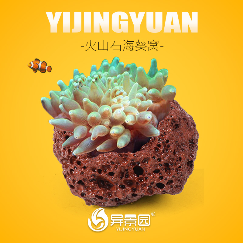奶嘴海葵窝小丑鱼繁殖罐深海淡海通用珊瑚窝地毯鱼窝水草鱼缸造景