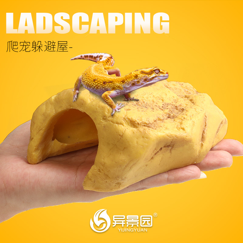 爬宠躲避洞穴乌龟晒台蜘蛛爬虫