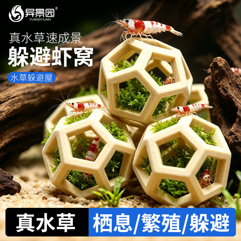 虾窝鱼虾躲避洞穴莫斯水草造景全套餐3D装饰水族鱼缸假山躲避屋